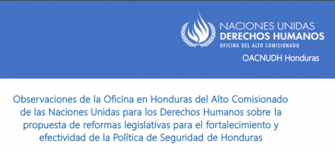 Confirman publicación de pasosdeanimalgrande.com: ONU Derechos Humanos aporta observaciones a paquete de reformas de seguridad