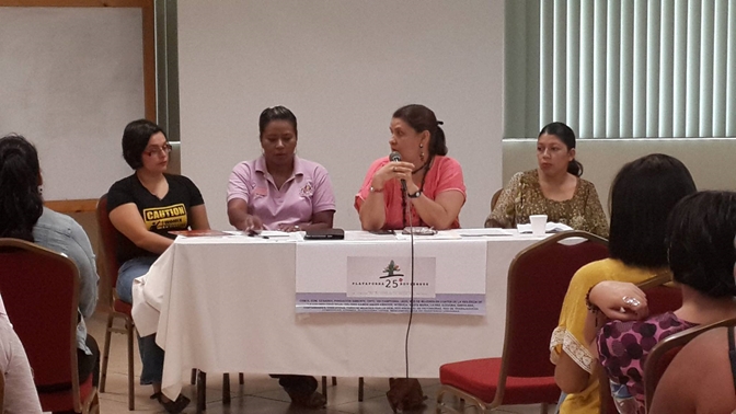 La Verdad sobre el EPU: Mujeres evidencian al Estado de Honduras por retrocesos que las  ponen en precario