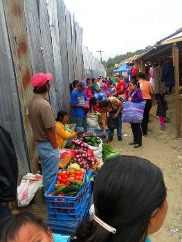 Vendedoras indígenas