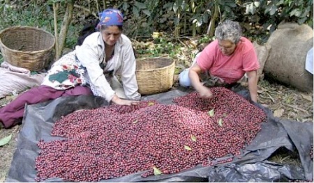 campesinas honduras
