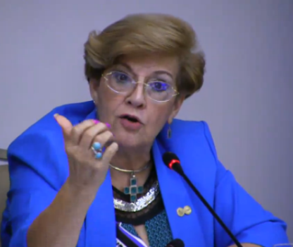 comisionada esmeralda cidh