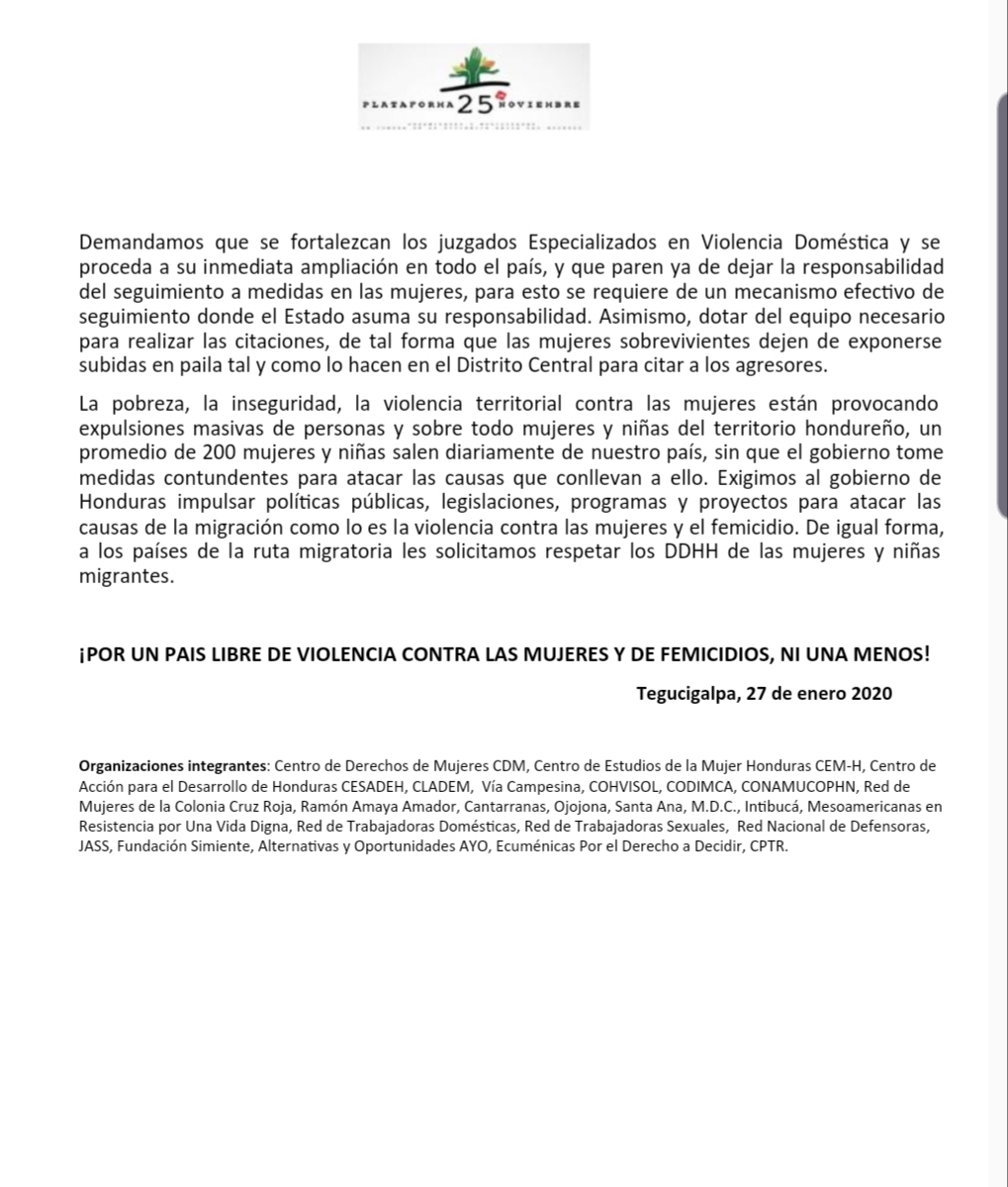 emergencia por femicidios 2