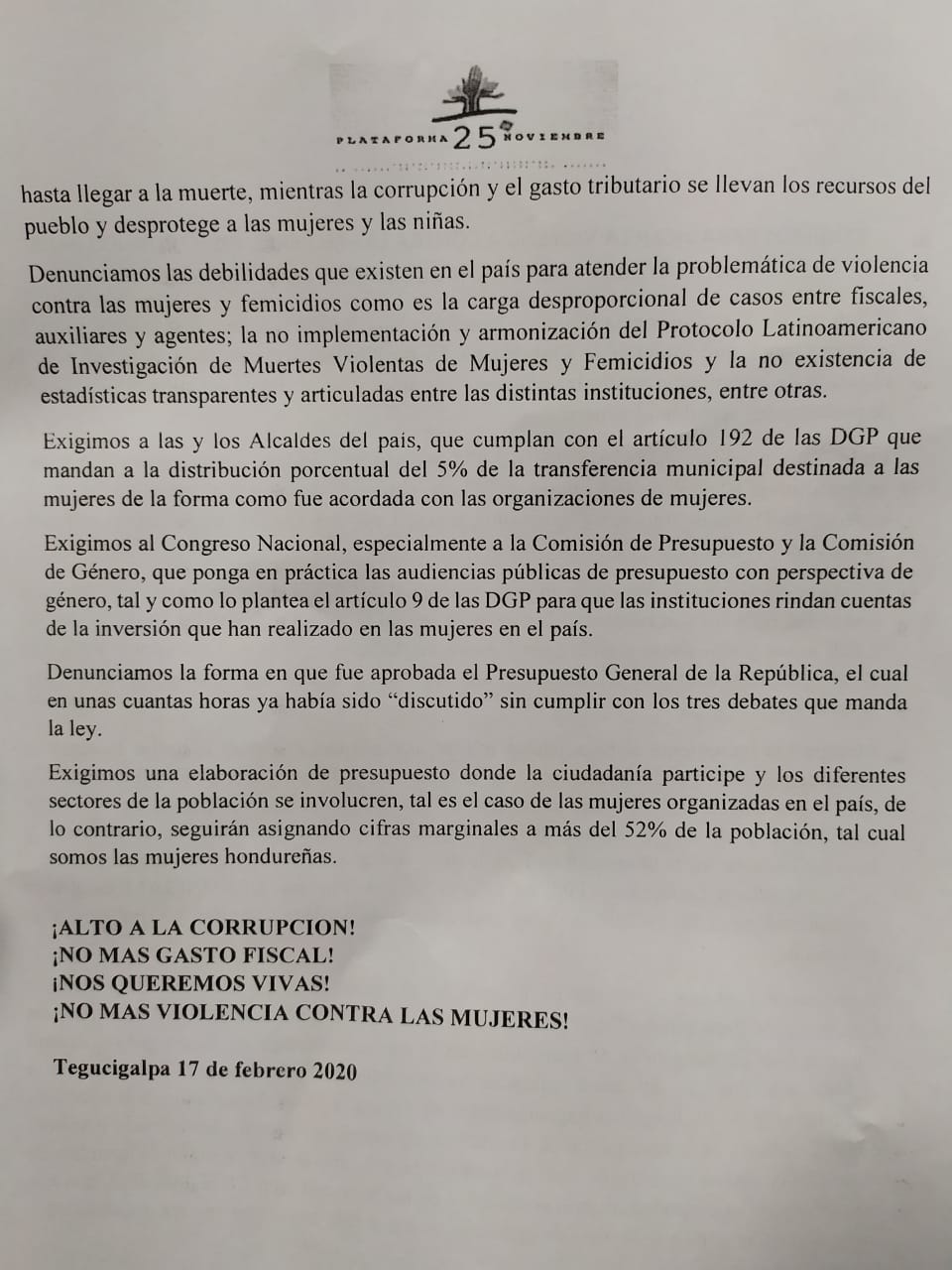feministas presupuesto2