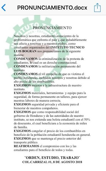 pronunciamiento luisbo2