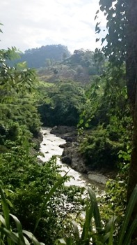 rio gualcarque