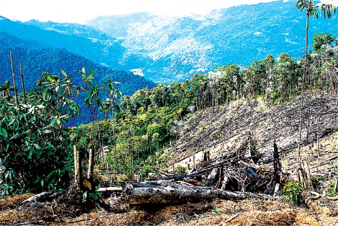 Honduras aplazada en democracia ambiental