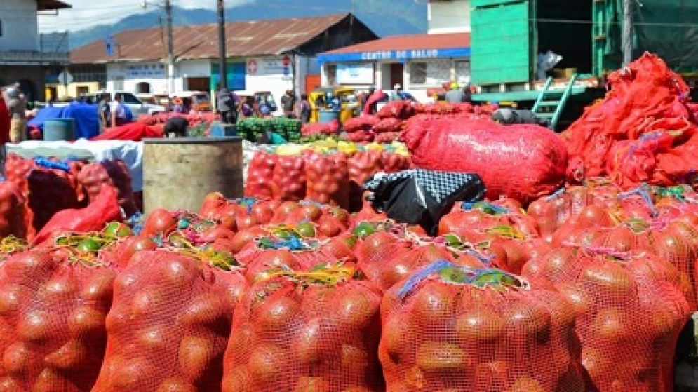 Seguridad alimentaria un proceso para el desarrollo de una nación