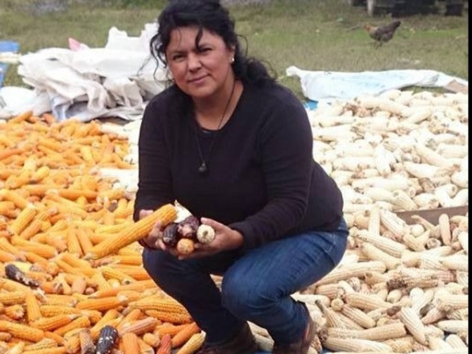 Condena y demanda sobre esclarecimiento del asesinato de Bertha Cáceres