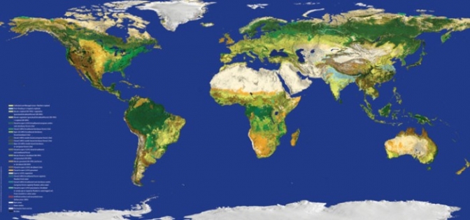 “Quitémonos las máscaras” en la Cumbre Sobre Cambio Climático
