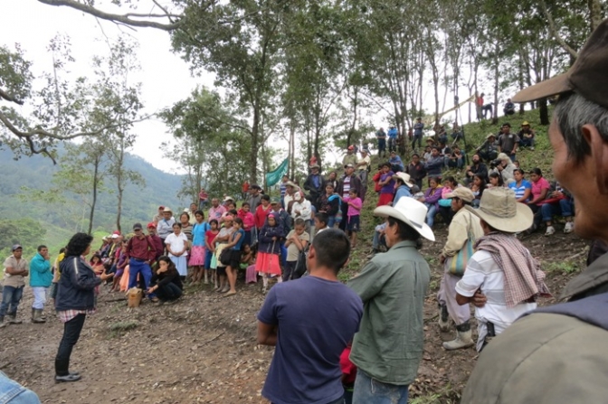 Front Line Defenders llama al gobierno a tomar todas las medidas necesarias para garantizar la vida de la familia de Berta Cáceres y miembros de COPINH