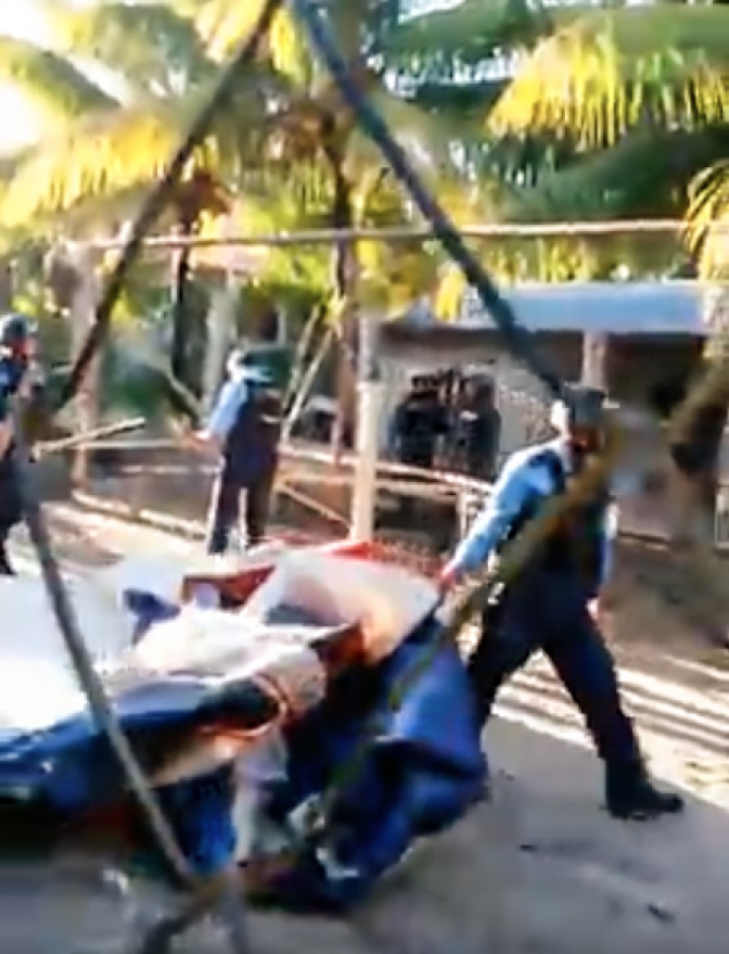 ALERTA: Desalojo violento en Campamentos Digno por el Agua y por la Vida en Pajuiles