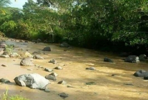 Hasta tener el monstruo encima: La batalla ambiental de la comunidad de Guapinol