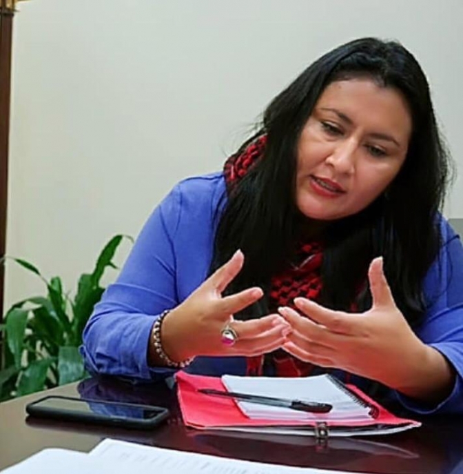 Abogada Dunia Aracely Pėrez, del ERIC  y parte de la defensa de Guapinol 