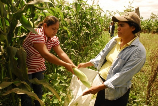 Campesinas en Honduras: perseguidas, criminalizadas y judicializadas por un pedazo de tierra