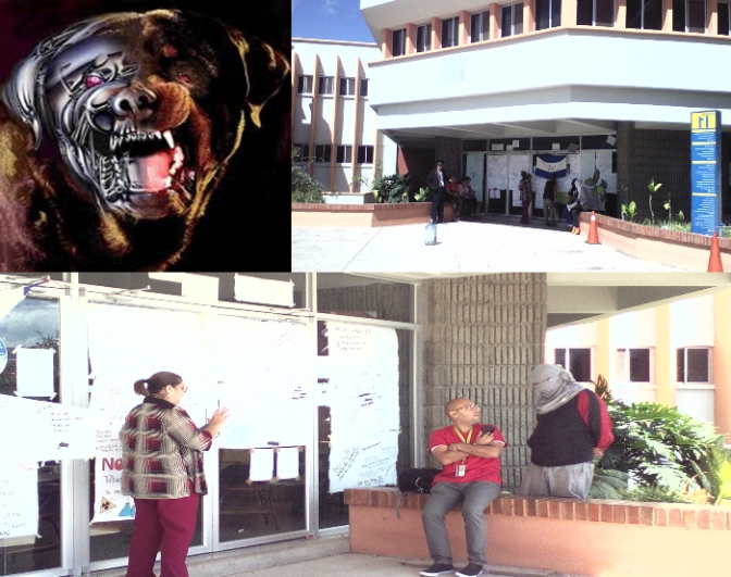 Abusos inimaginables viven a diario los estudiantes que decidieron hacer uso de la protesta social en la UNAH