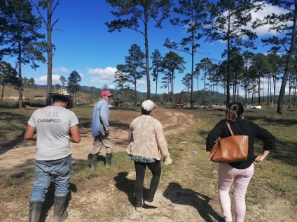 Terrateniente envió hombres armados para atacar a campesinos en Guaimaca