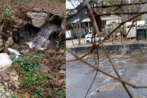 Según denuncia ARCAH: Río Choluteca está agonizando por la contaminación de empresa procesadora de pollo